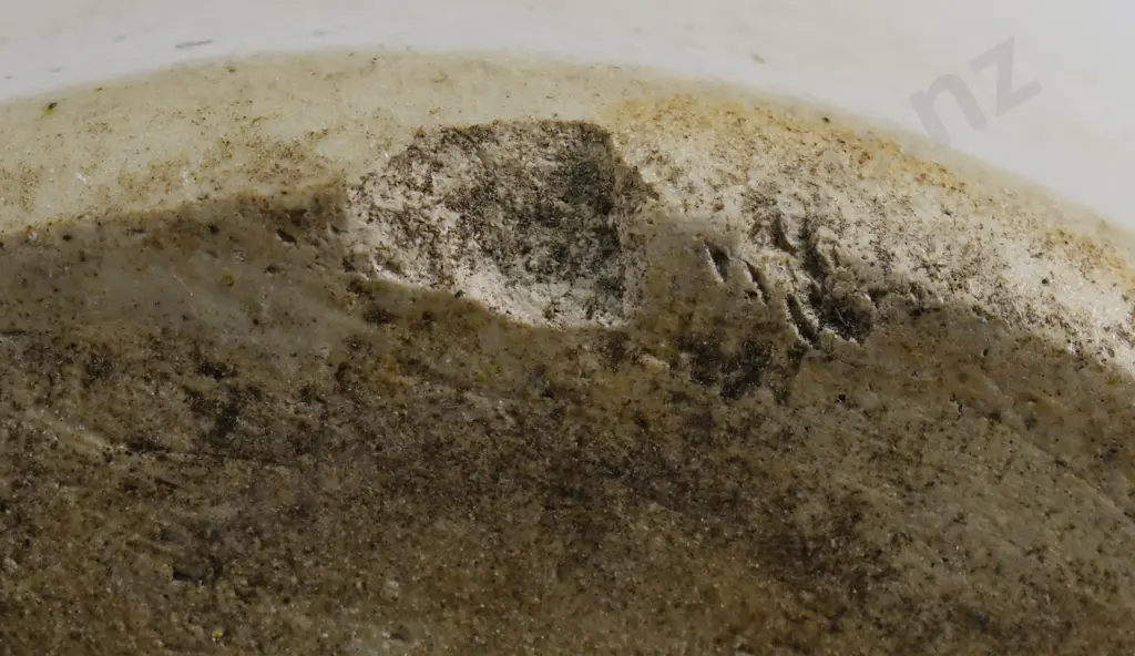 WRIGHT CHRISTCHURCH STONE JAR - THE RARE ONE ! Image 1++