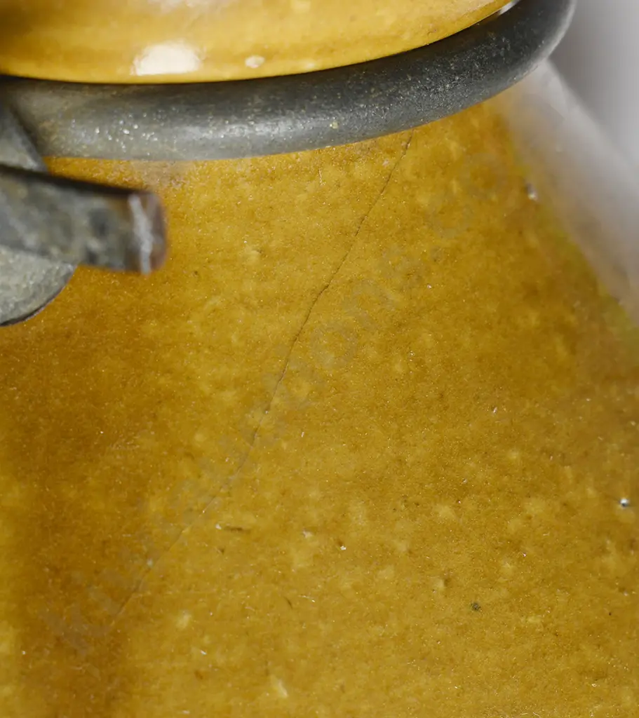 DODSON NELSON 3 GALLON STONE JAR Image 1++