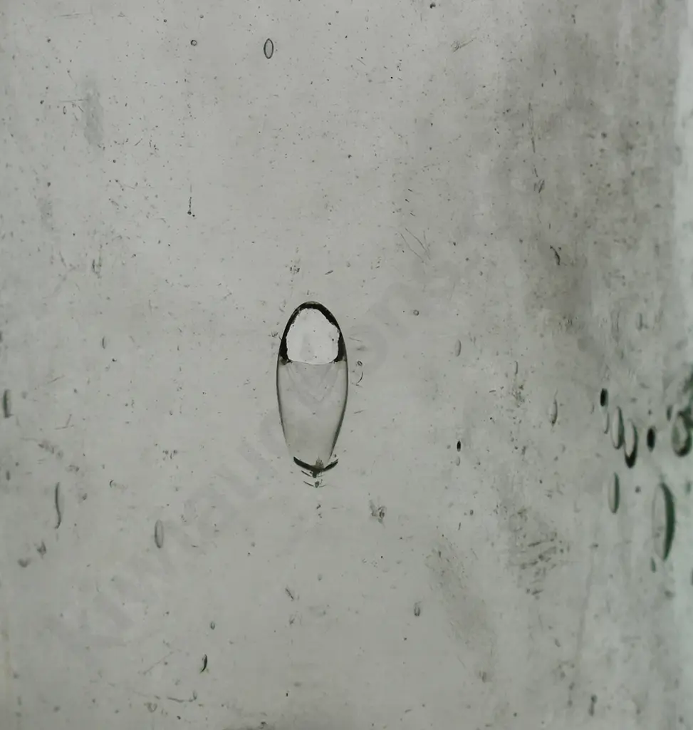 T & Co, (THOMSON DUNEDIN) HOGBEN Image 1++