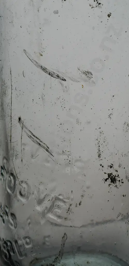 BLUE LIPPED 10oz CODD Image 1++