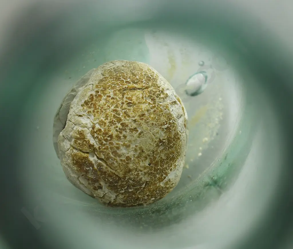 GLEDHILL'S PATENT Image 1++