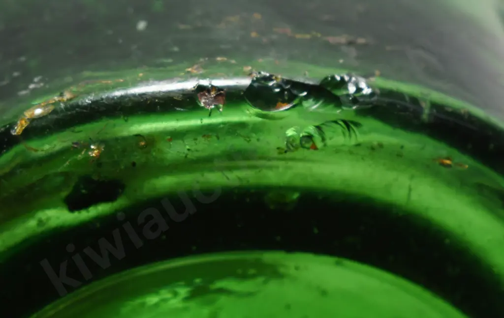 EHRENFRIED BROTHERS DUMPY SODA Image 1++