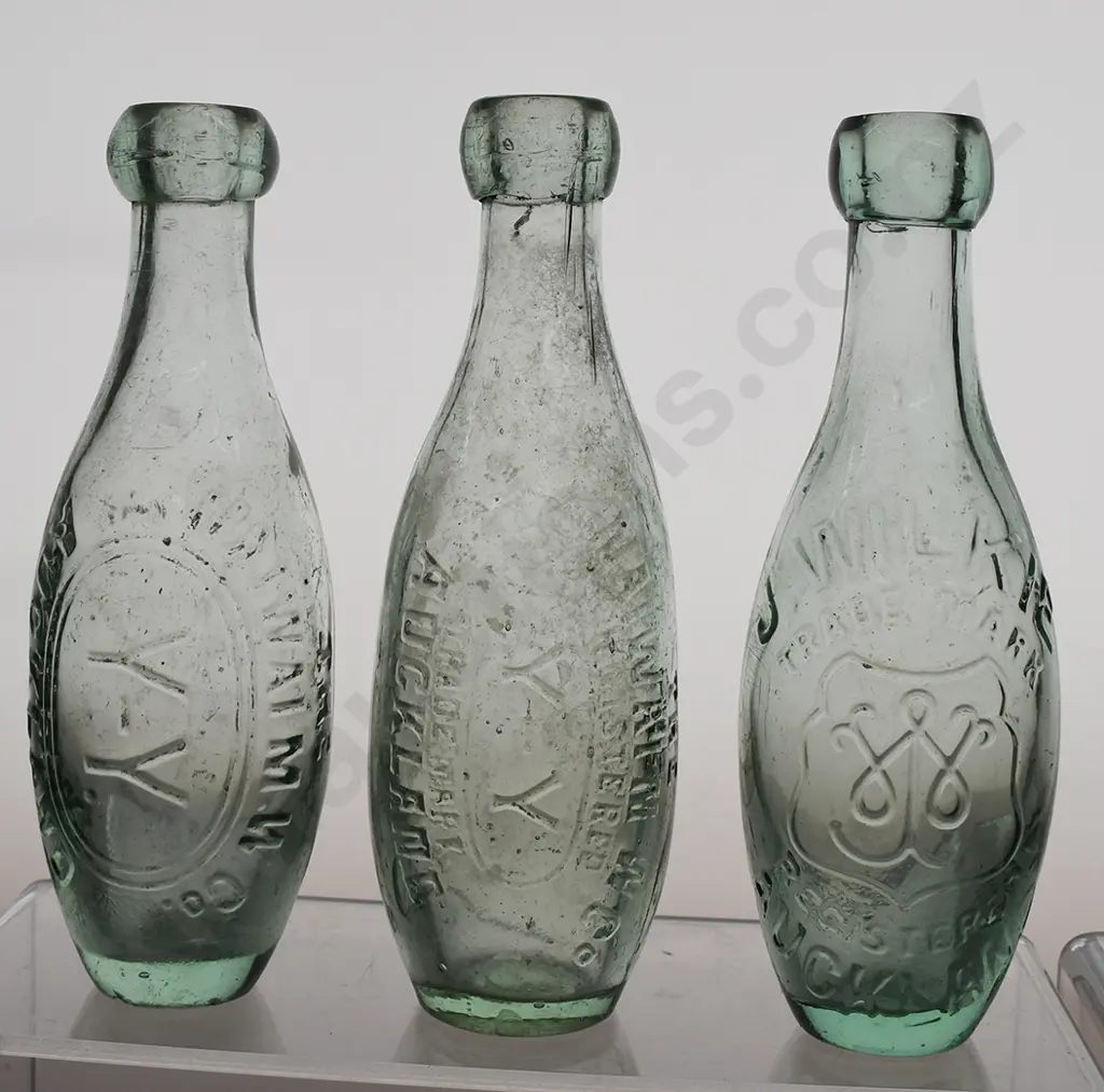 AUCKLAND SKITTLES Image 1++