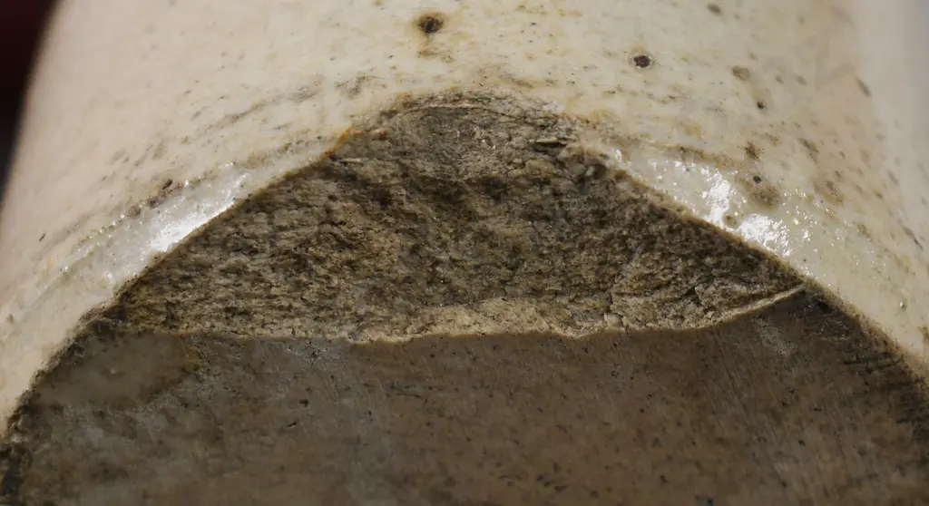 THOMAS ROTORUA, WAI WAI AUCKLAND, GINGER BEERS Image 1++