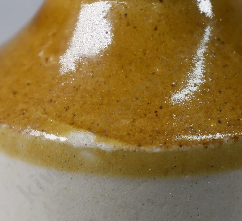 WAI WAI AUCKLAND GINGER BEERS Image 1++