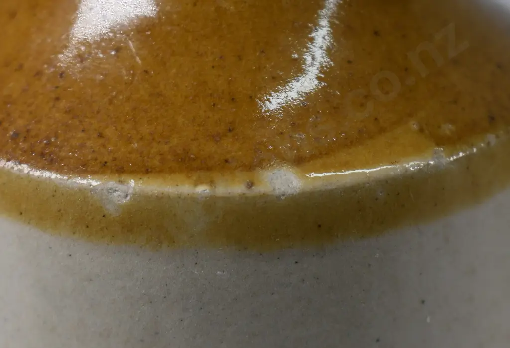 WAI WAI AUCKLAND GINGER BEERS Image 1++