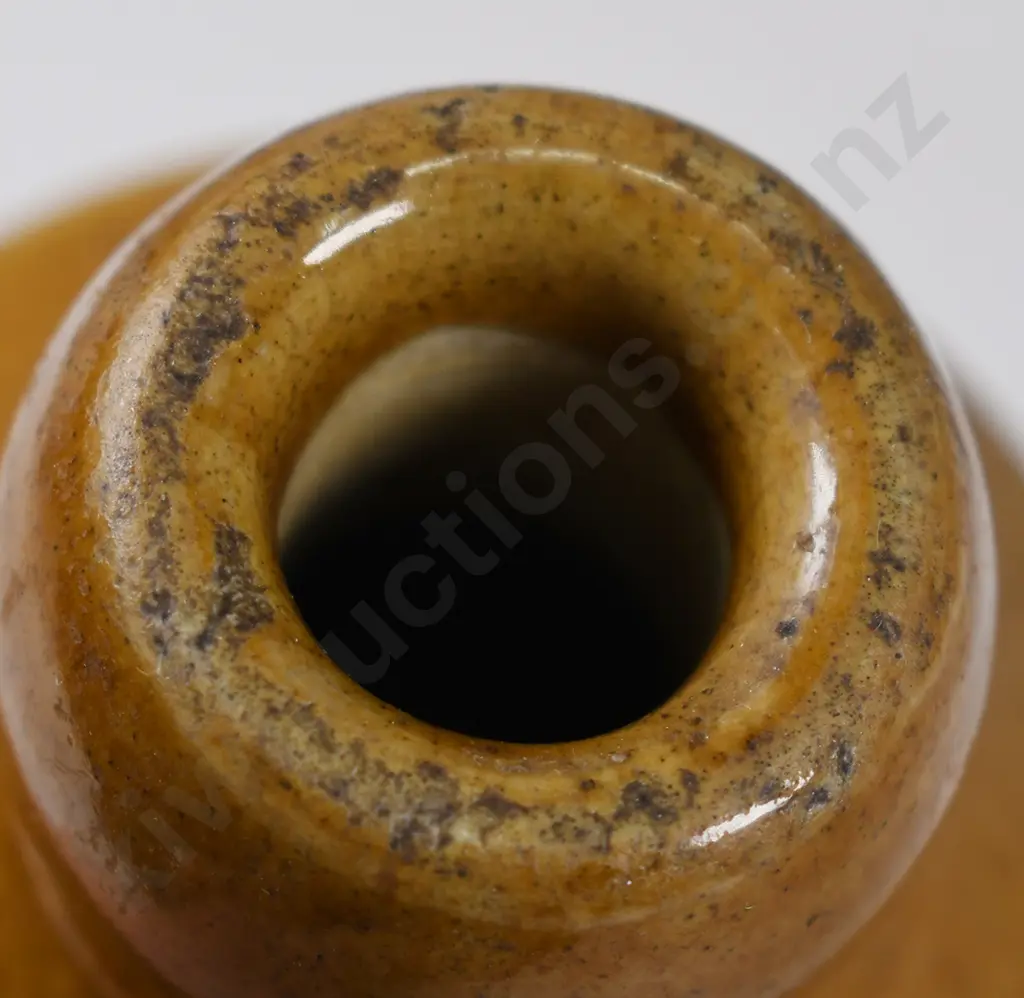 WAI WAI AUCKLAND GINGER BEERS Image 1++