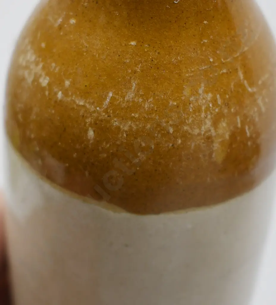 AUCKLAND GINGER BEERS Image 1++