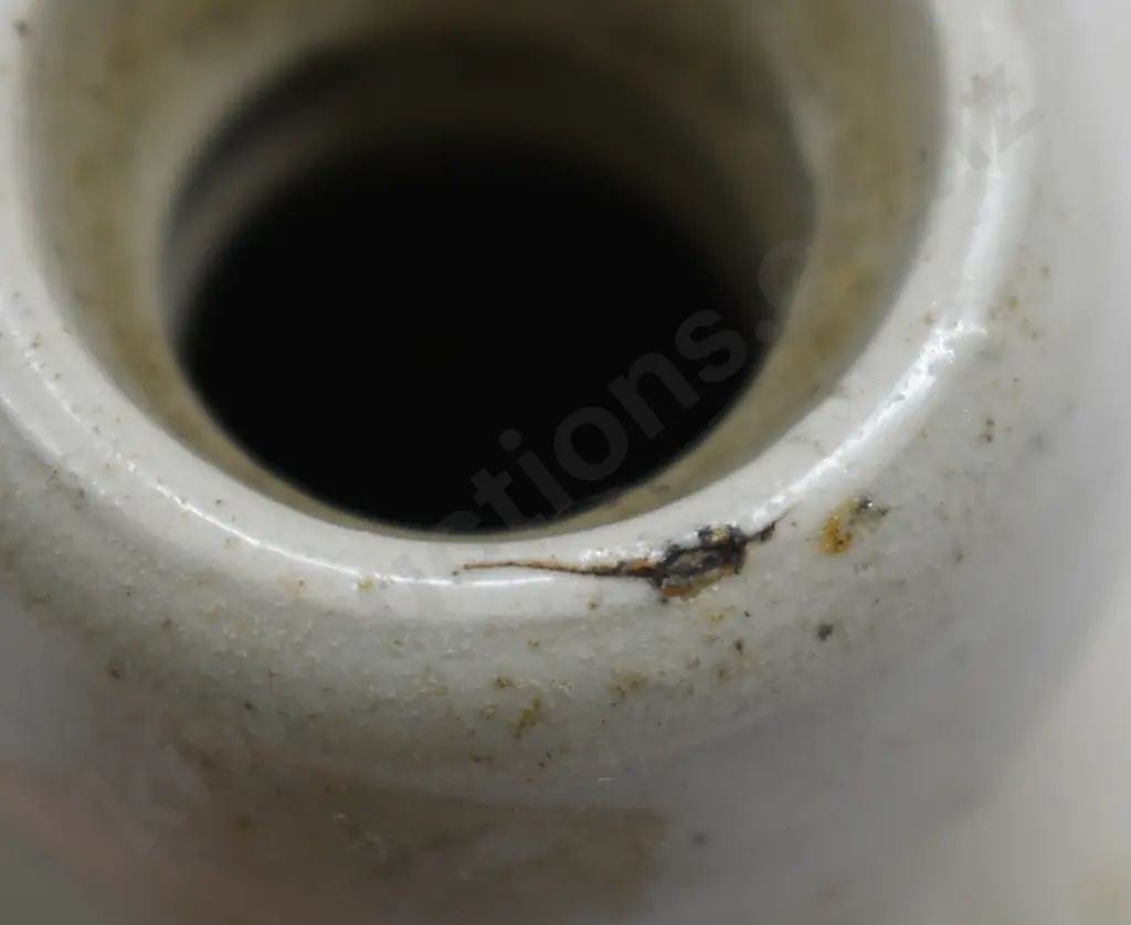 CLARKE ROTORUA, MENZIES GINGER BEERS Image 1++