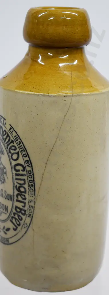 DODSON NELSON GINGER BEERS Image 1++