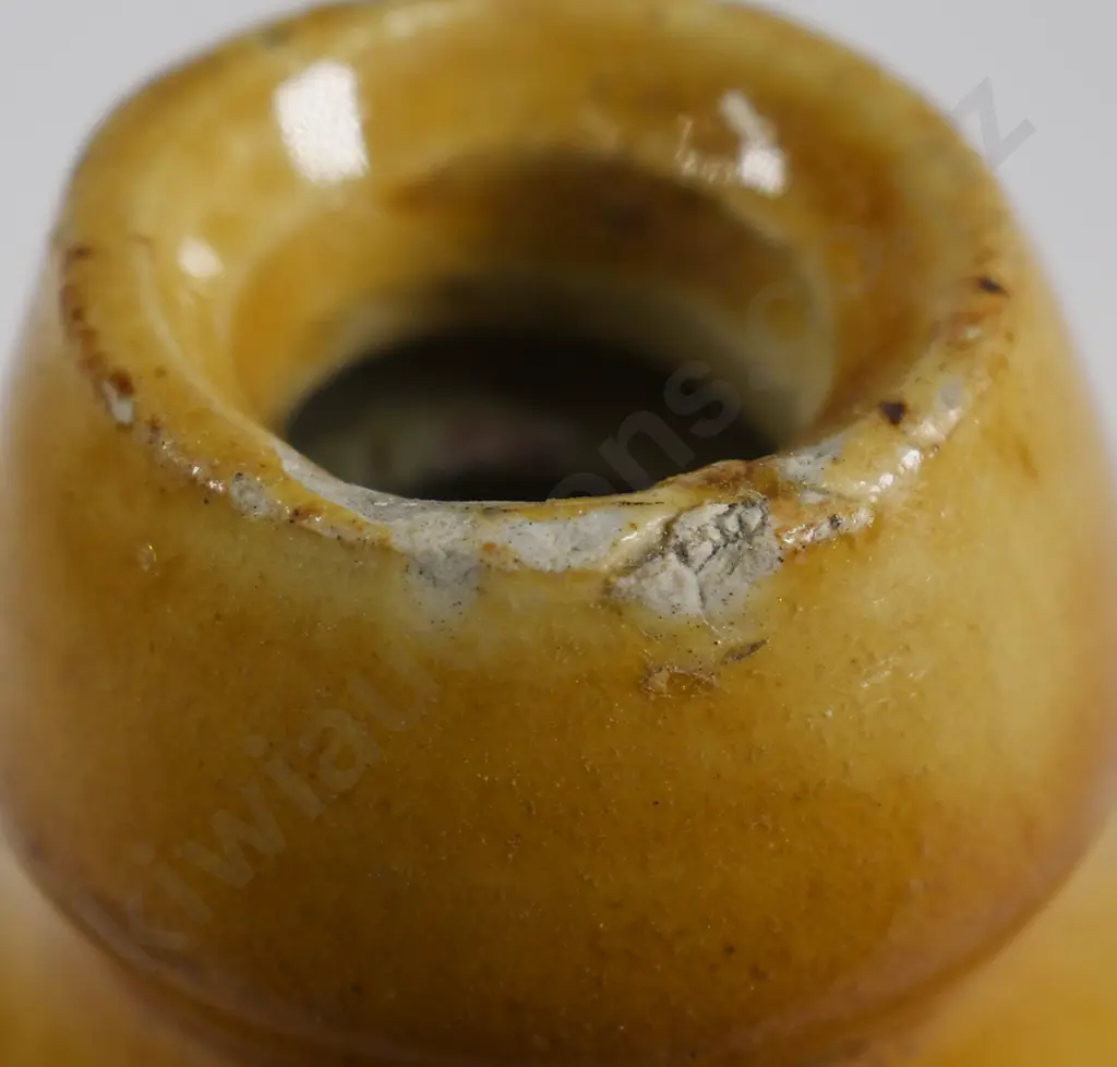 WILSHIRE & SCOTT CHRISTCHURCH GINGER BEER Image 1++