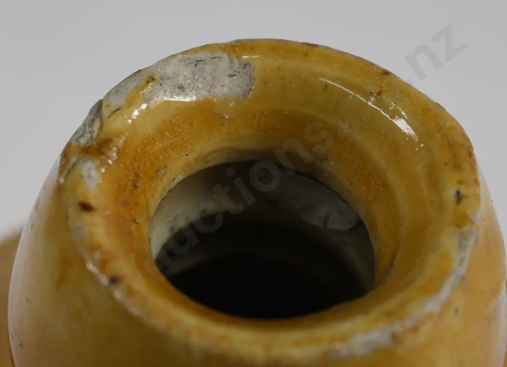 WILSHIRE & SCOTT CHRISTCHURCH GINGER BEER Image 1++