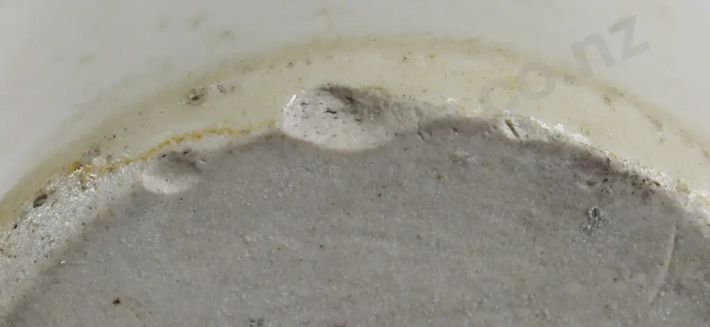 WILSHIRE & SCOTT CHRISTCHURCH GINGER BEER Image 1++