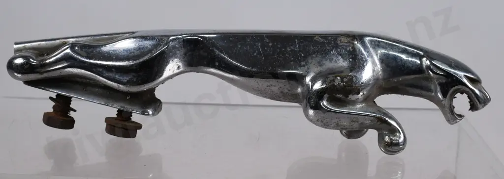 JAGUAR & BIRD CAR EMBLEMS Image 1++