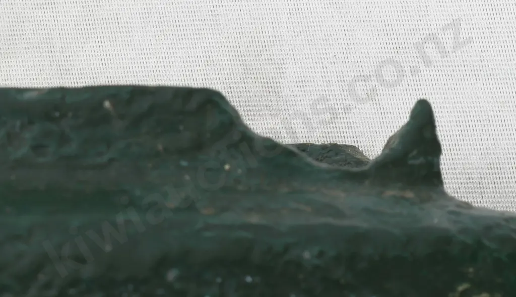 PETERBRO HEADER TANK Image 1++