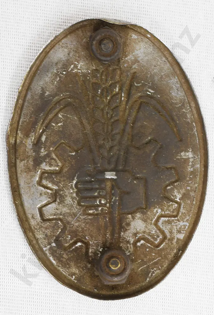 ASSORTED BADGES, EMBLEMS, SCALES Image 1++