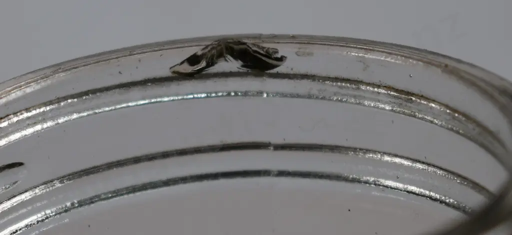 BIG TREE QUART OIL BOTTLE WITH POURER Image 1++