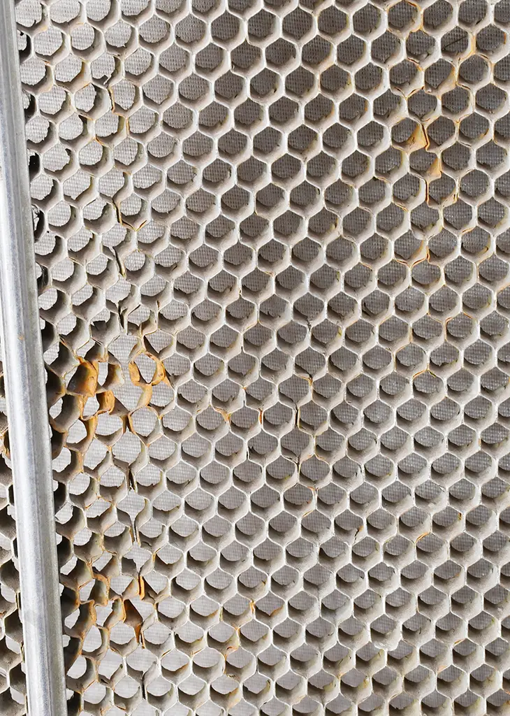 AUSTIN & MORRIS 8 CAR GRILLS Image 1++