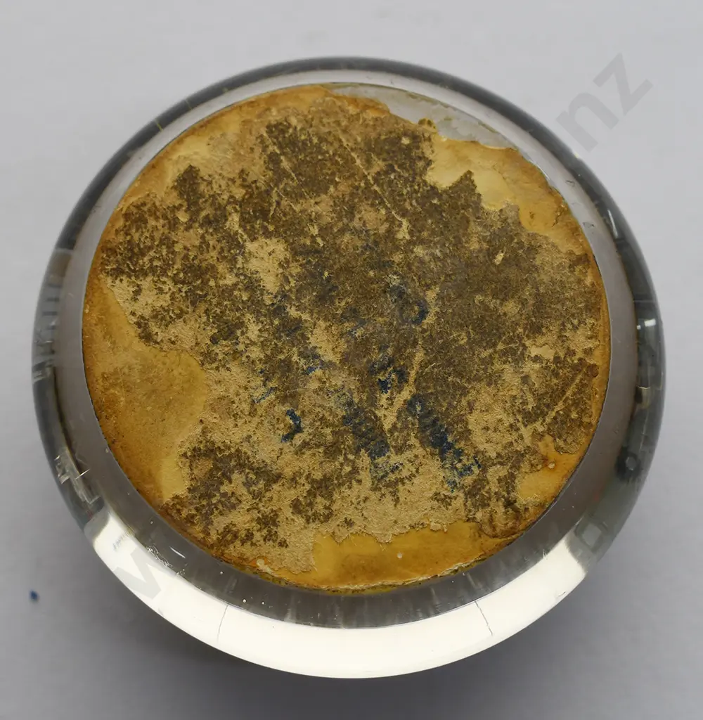 S.S. CLYDE BALCLUTHA PAPERWEIGHT Image 1++