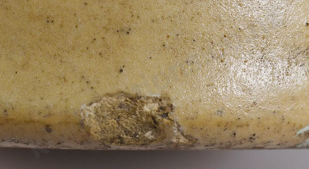 FRITH OAMARU MILTON POTTERY JAR Image 1++