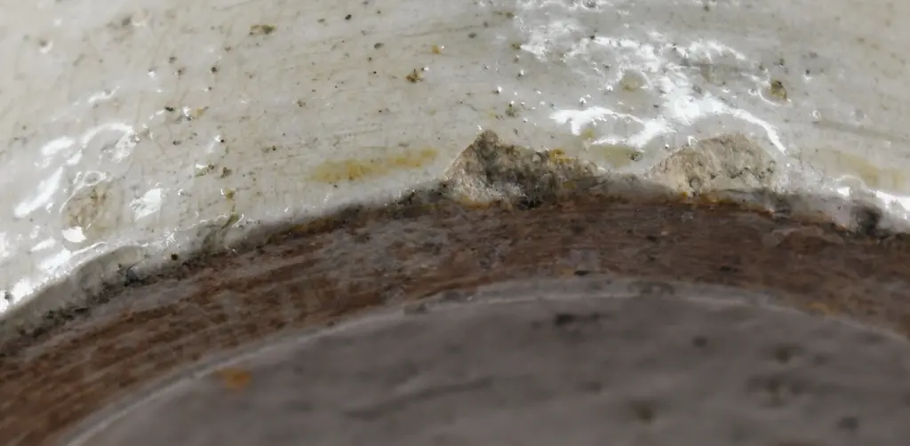 WING LEE WAI CHINESE WHISKY Image 1++