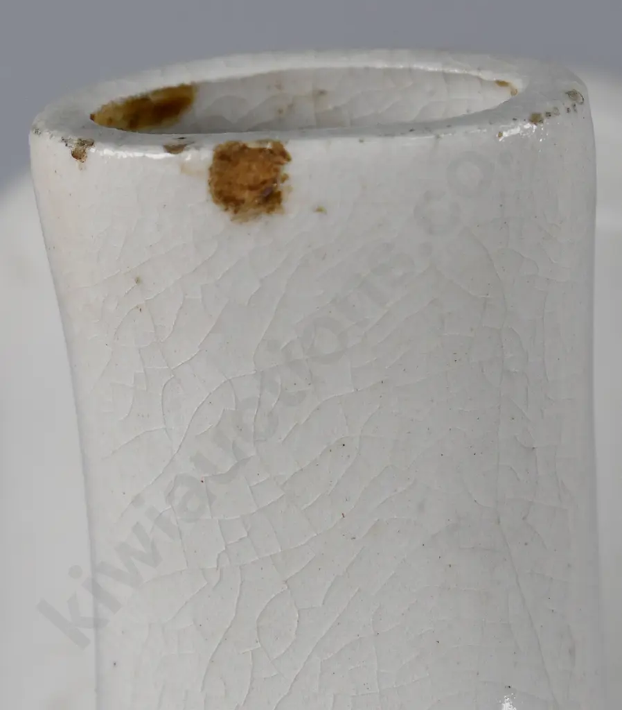 DR NELSONS IMPROVED INHALERS Image 1++