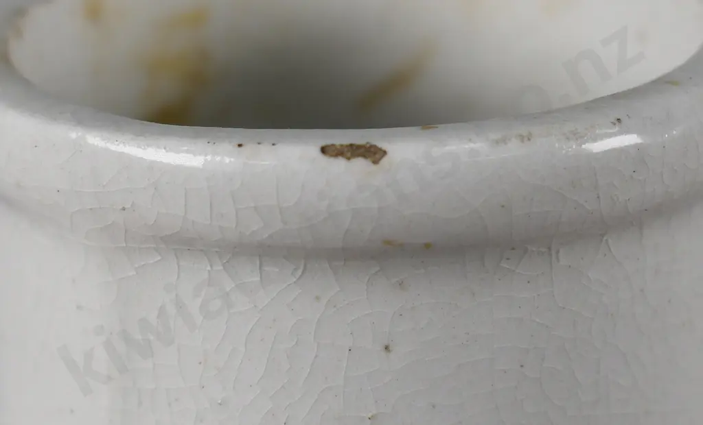 DR NELSONS IMPROVED INHALERS Image 1++