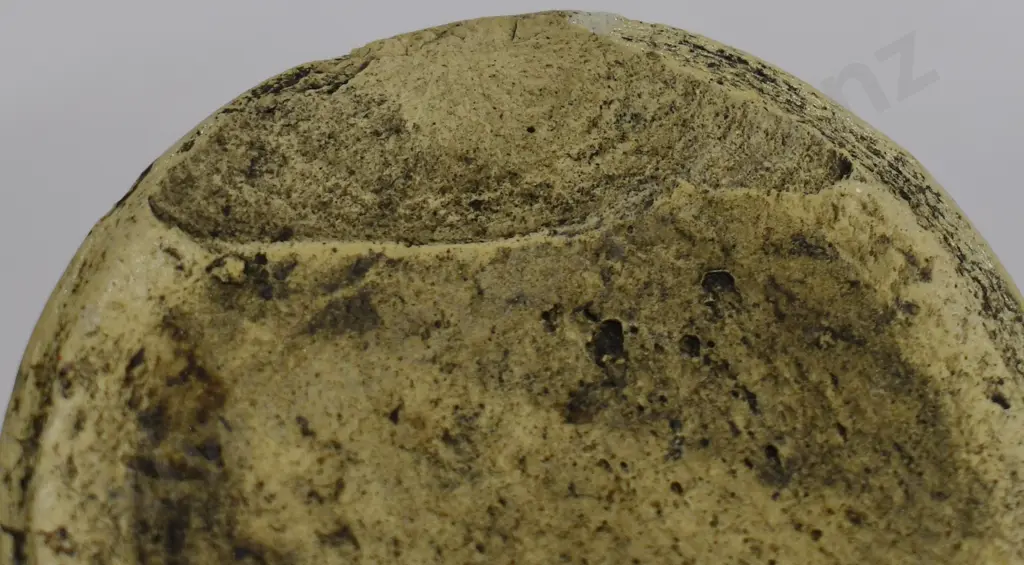 BALLIN BROTHERS CHRISTCHURCH GINGER BEER Image 1++