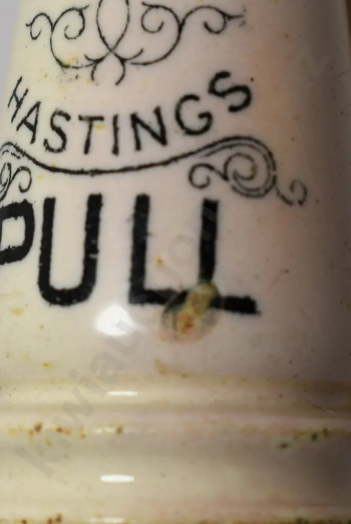 PERRY PLUMBER HASTINGS TOILET PULL Image 1++