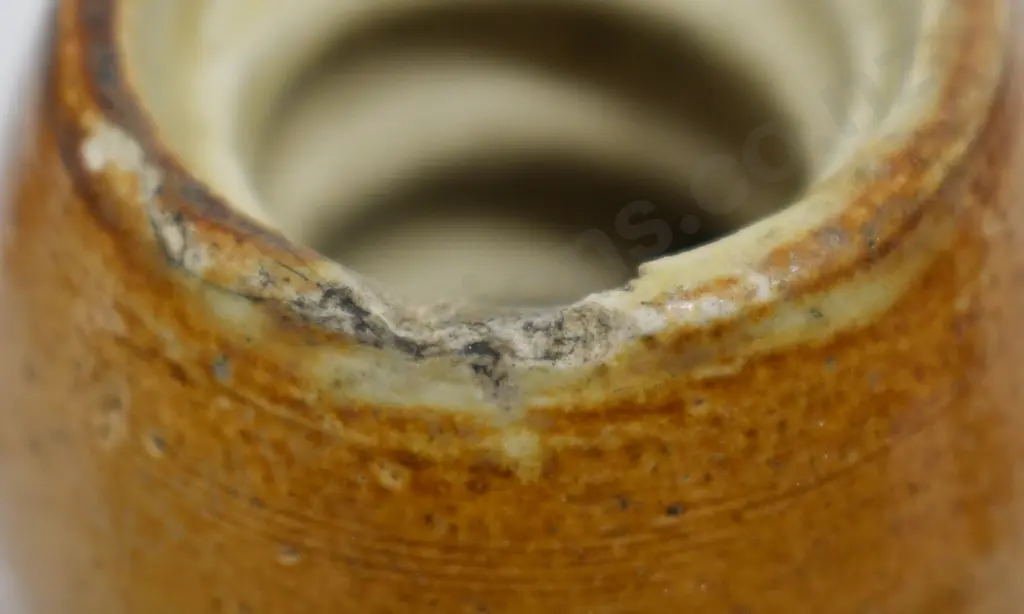 SOUTH AFRICAN GINGER BEERS Image 1++