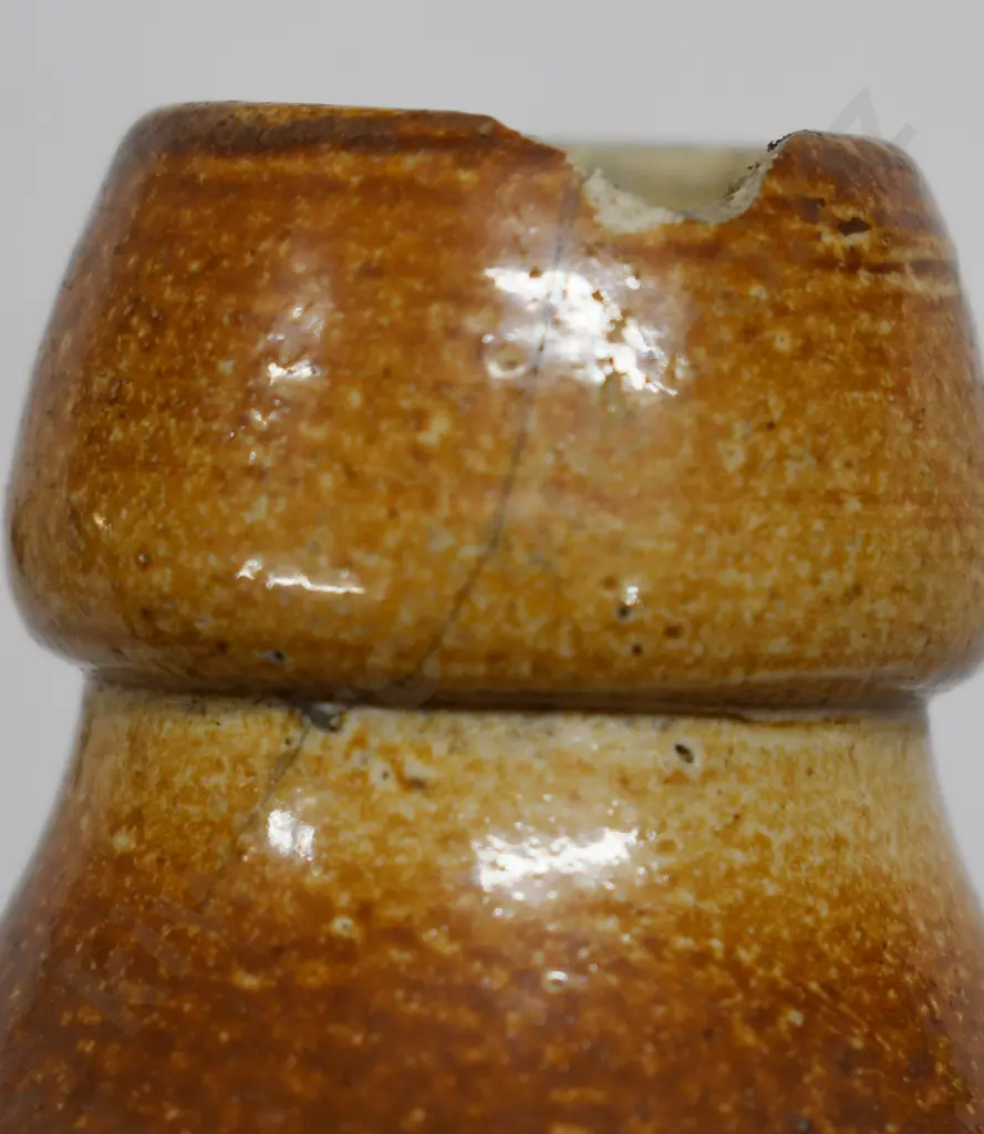 SOUTH AFRICAN GINGER BEERS Image 1++