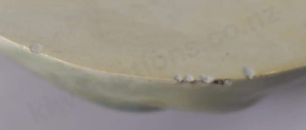 CROWN LYNN COW BELL WALL POCKET NO. 8 Image 1++