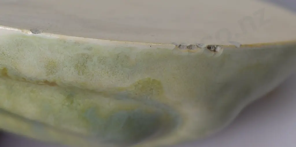 CROWN LYNN COW BELL WALL POCKET NO. 8 Image 1++