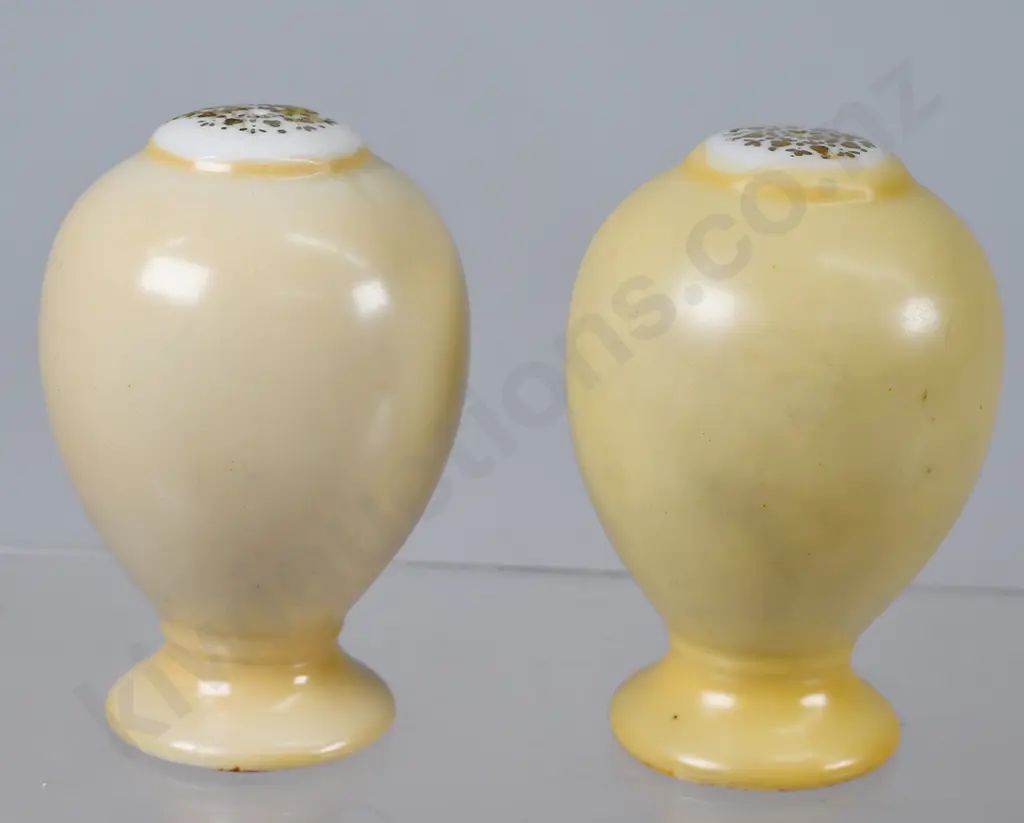 BROWNIE DOWNING SALT & PEPPER Image 1++