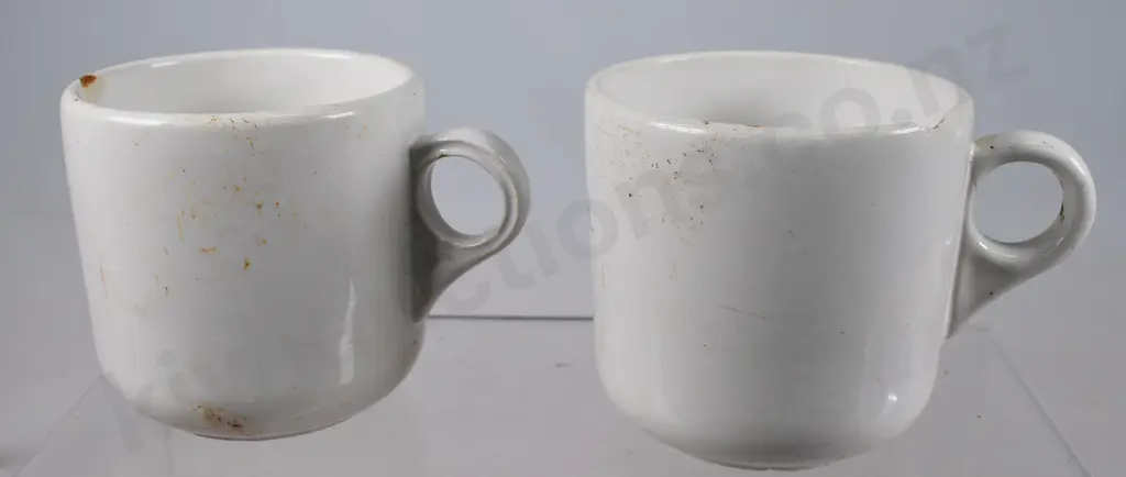 TEMUKA WARE & CROWN LYNN NZR CUPS & SAUCERS Image 1++