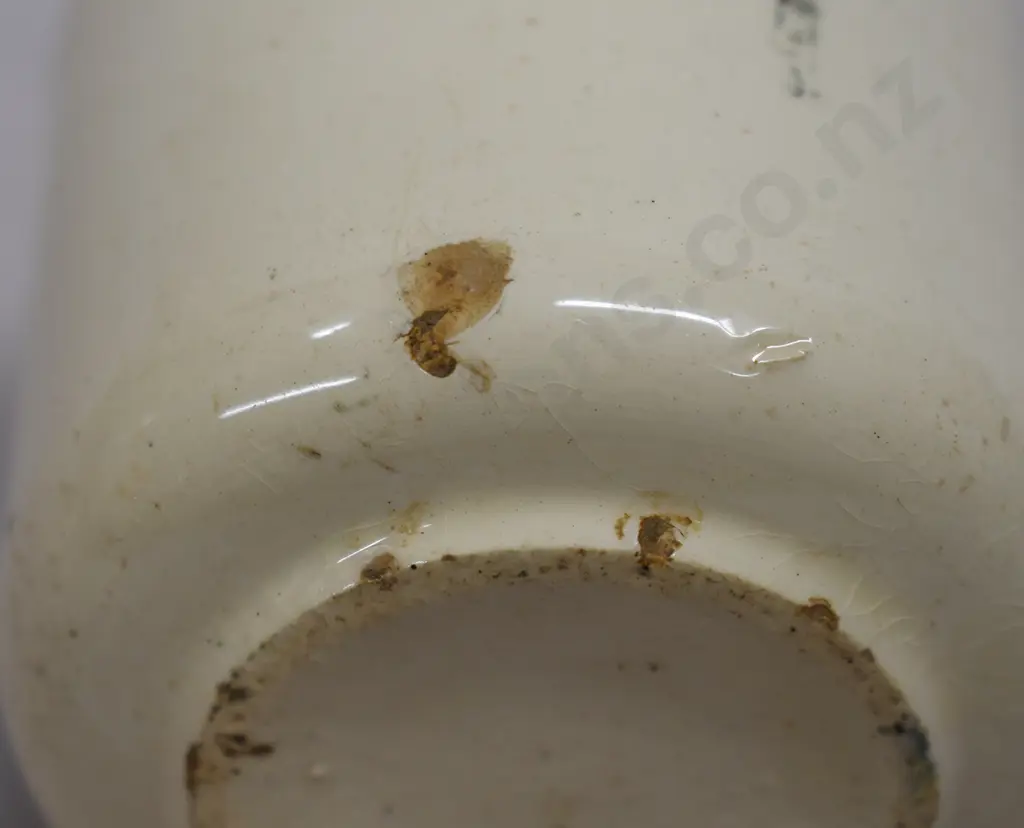 NEW ZEALAND RAILWAY CUPS Image 1++